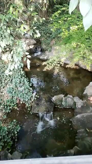 植物大战僵尸7