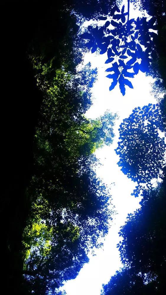 逃离阴暗的房屋