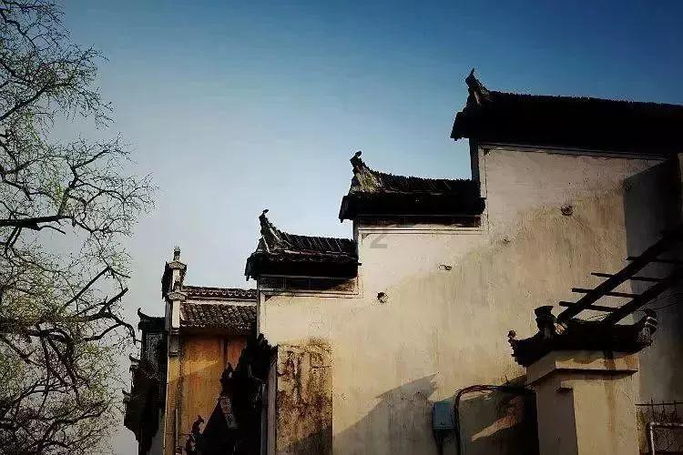 龙年不宜结婚?民政部回复→